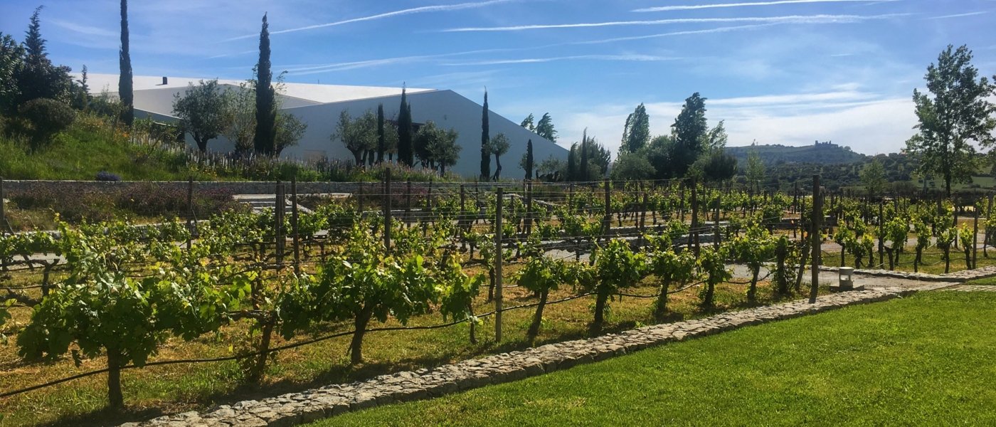 Portugal - Vineyard - Wine Paths